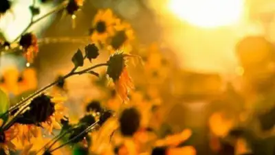 liter.kz, фото - Новости Zakon.kz от 24.08.2020 11:45