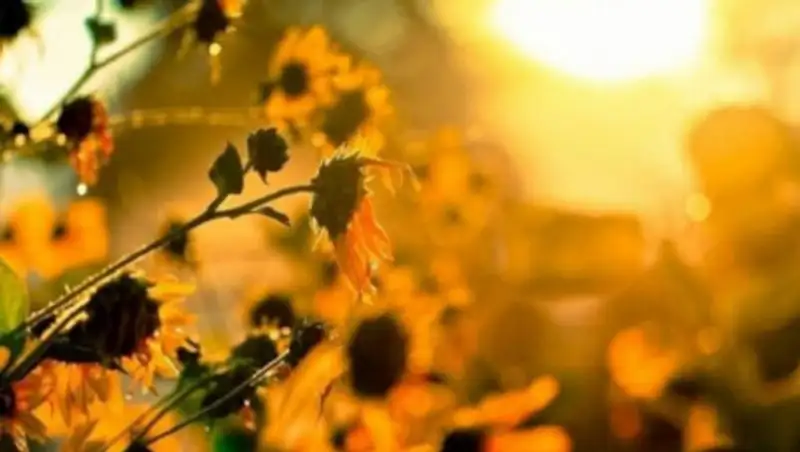 Повышение температуры ожидается в Казахстане