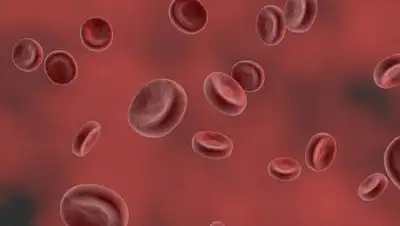 pixabay.com, фото - Новости Zakon.kz от 15.04.2021 09:37