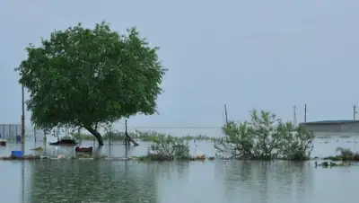 news.mail.ru, фото - Новости Zakon.kz от 22.06.2020 14:05