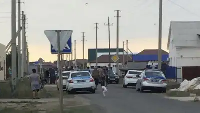 azh.kz, фото - Новости Zakon.kz от 07.08.2020 10:31