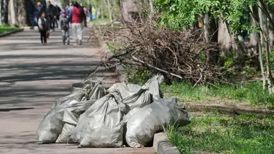 Алматинцев оштрафовали за мусор на улицах более чем на 91 млн тенге