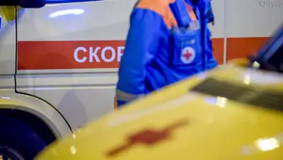 riafan.ru, фото - Новости Zakon.kz от 09.12.2019 09:30