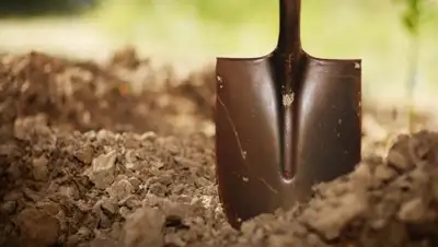 Zakon.kz, фото - Новости Zakon.kz от 12.07.2017 19:38