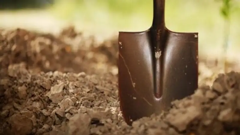 В Актобе в чужой могиле обнаружили труп неизвестной женщины