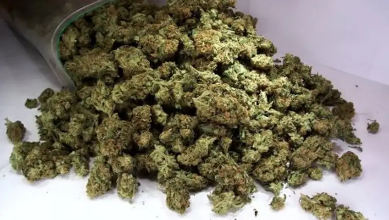 В Жамбылской области у мужчины обнаружили 4 мешка с высушенной марихуаной