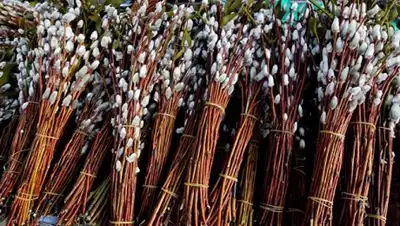 РИА Новости / Виталий Аньков, фото - Новости Zakon.kz от 01.04.2018 06:32