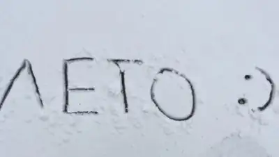 Zakon.kz, фото - Новости Zakon.kz от 24.08.2017 20:28