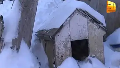 Zakon.kz, фото - Новости Zakon.kz от 14.01.2015 15:47