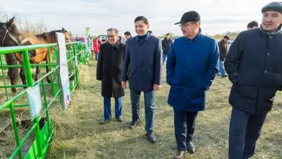 Zakon.kz, фото - Новости Zakon.kz от 18.10.2016 23:25