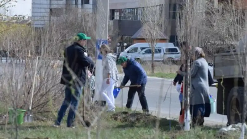 Пять тысяч деревьев высадят у социальных учреждений в Атырау