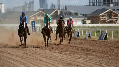 Байге, конный спорт, Нур-Султан, фото - Новости Zakon.kz от 06.07.2022 16:53