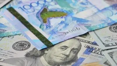 total.kz, фото - Новости Zakon.kz от 10.10.2018 11:48