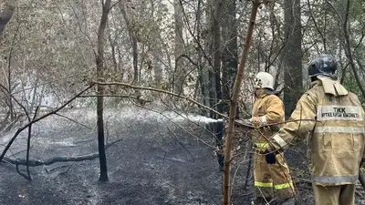 В Семей объявят ЧС в связи с лесными пожарами, фото - Новости Zakon.kz от 09.06.2023 16:50