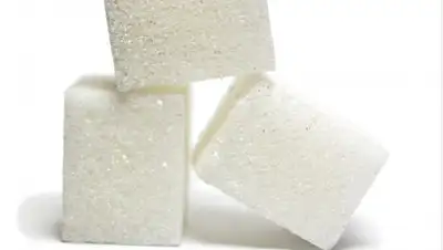 Zakon.kz, фото - Новости Zakon.kz от 25.04.2019 12:18