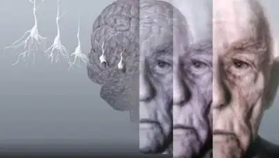 ВВС, фото - Новости Zakon.kz от 02.02.2021 08:52