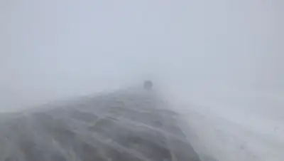 24.kz, фото - Новости Zakon.kz от 24.01.2020 09:33