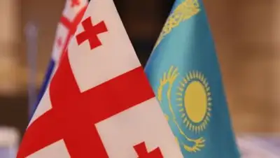 Zakon.kz, фото - Новости Zakon.kz от 17.11.2017 17:16