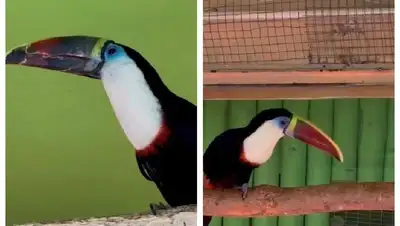 Новых питомцев показал Алматинский зоопарк, фото - Новости Zakon.kz от 28.11.2022 15:32