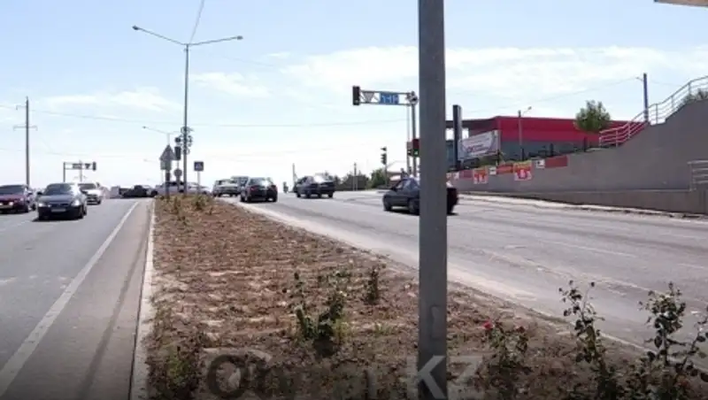 В Шымкенте начались весенние работы