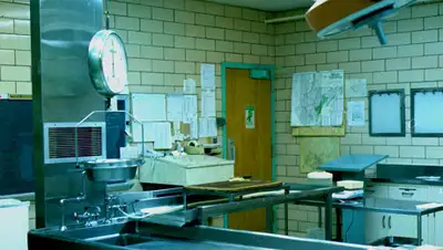 википедиа, фото - Новости Zakon.kz от 14.01.2020 09:02