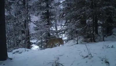 Zakon.kz, фото - Новости Zakon.kz от 25.02.2014 15:57