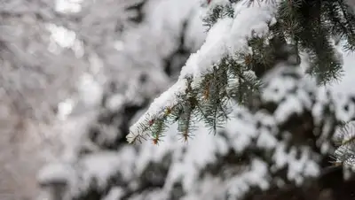 рк, погода, 12-14 марта, прогноз, казгидромет, фото - Новости Zakon.kz от 11.03.2022 11:14