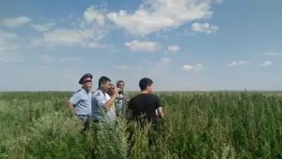 пресс-служба ДВД Акмолинской области, фото - Новости Zakon.kz от 09.08.2018 18:35