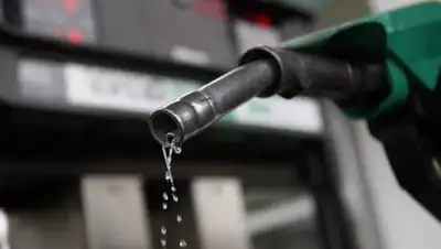 Zakon.kz, фото - Новости Zakon.kz от 17.02.2017 22:48