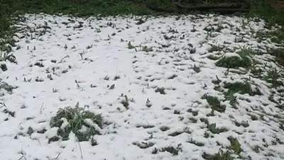 Анна Яблонская, фото - Новости Zakon.kz от 27.05.2018 12:28