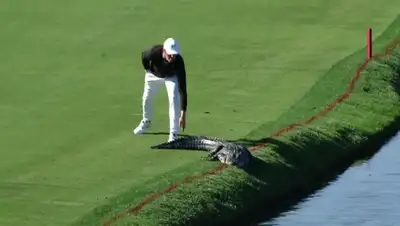 Zakon.kz, фото - Новости Zakon.kz от 17.03.2017 23:22