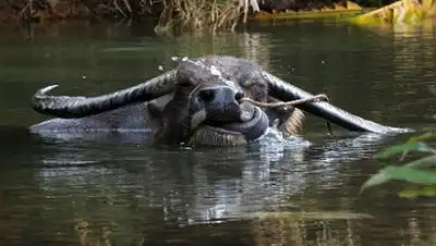 Zakon.kz, фото - Новости Zakon.kz от 22.06.2015 06:10