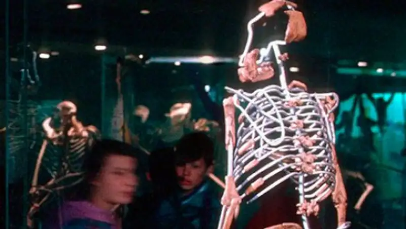 Определена главная причина появления человека