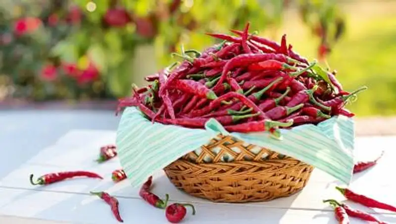 Ученые приписали перцу чили способность продлевать жизнь