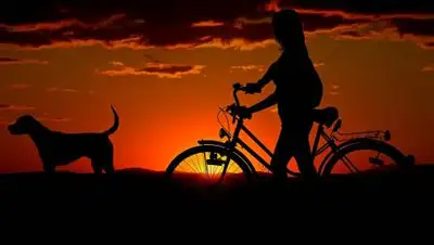 pixabay.com, фото - Новости Zakon.kz от 09.08.2021 20:00