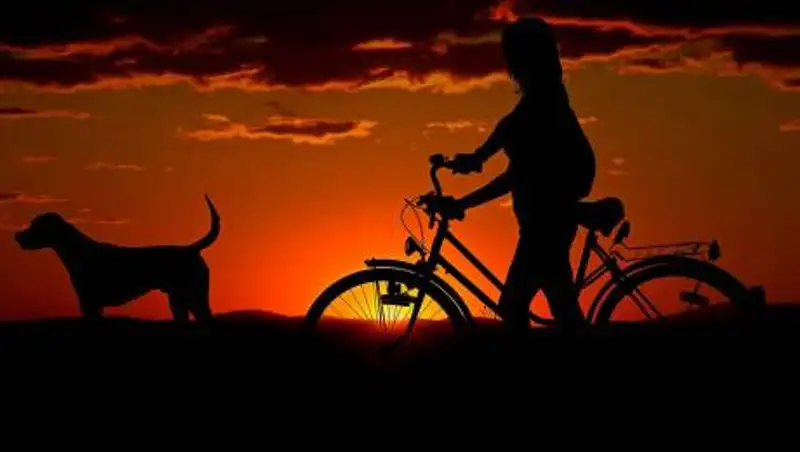 Очень сильная жара, гроза и град ожидаются в Казахстане