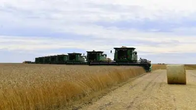 zakon.kz., фото - Новости Zakon.kz от 27.12.2020 15:34