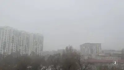 алматы, густой туман, фотографии, фото - Новости Zakon.kz от 05.01.2022 10:31