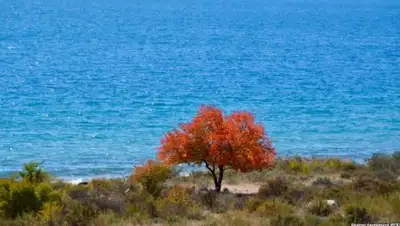 Zakon.kz, фото - Новости Zakon.kz от 14.12.2017 02:00