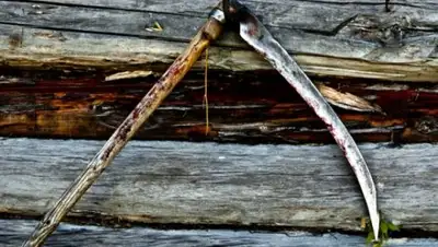 Друг для друга, фото - Новости Zakon.kz от 07.09.2018 23:11