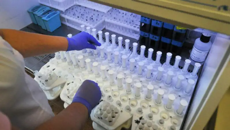 100 проб на коронавирус проверили в Алматы