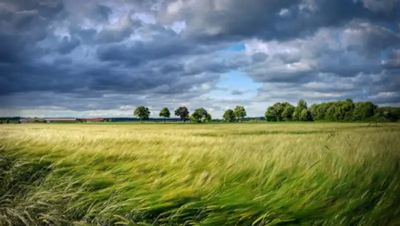 Штормовое предупреждение объявлено в Кызылординской и Туркестанской областях