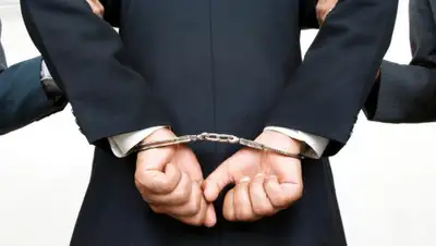 Kanopy, фото - Новости Zakon.kz от 22.02.2020 16:20