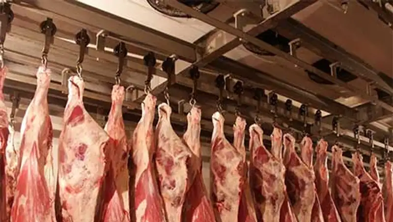 Актюбинская область к 2016 году планирует экспортировать около 15 тыс тонн мяса, фото - Новости Zakon.kz от 08.11.2013 17:44