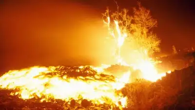 Zakon.kz, фото - Новости Zakon.kz от 27.03.2017 05:12