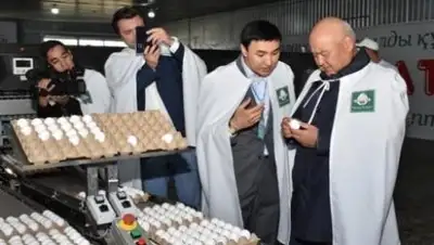 "Казагрофинанс", фото - Новости Zakon.kz от 16.08.2018 12:18