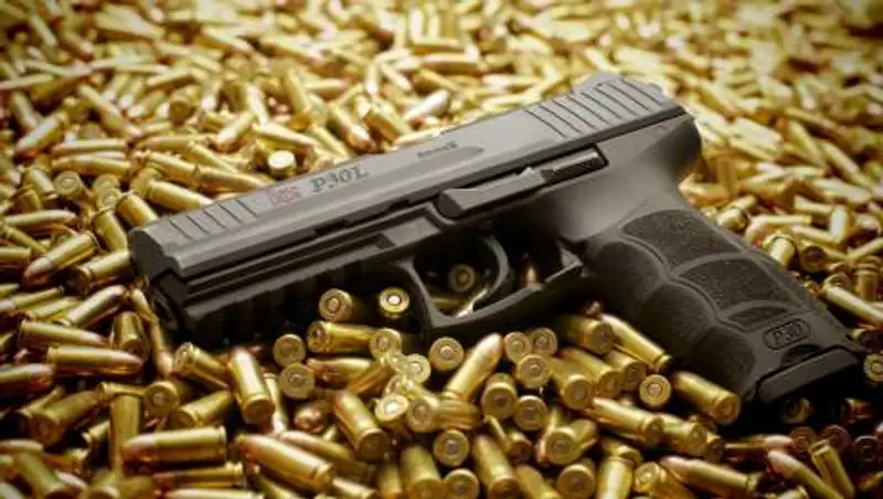 26 тысяч стволов и более миллиона патронов отдали казахстанцы полиции