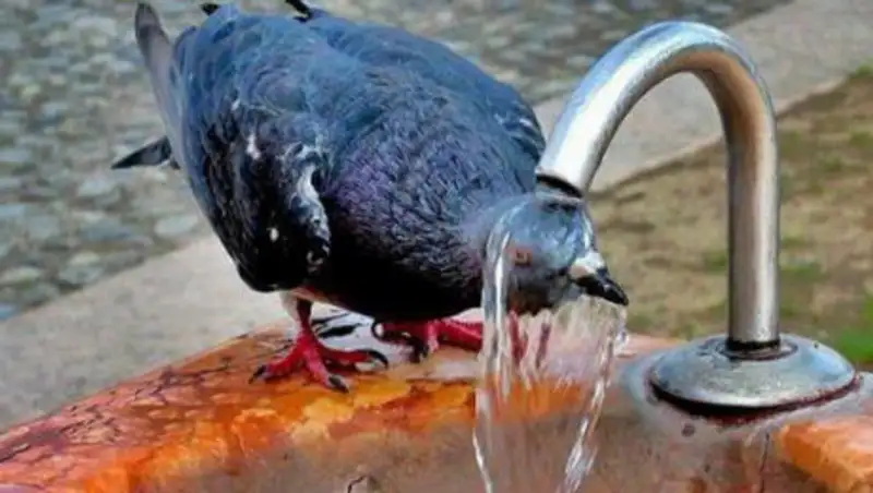 В Алматы объявлено штормовое предупреждение из-за сильной жары