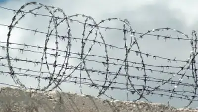 Zakon.kz, фото - Новости Zakon.kz от 07.10.2014 21:12