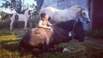 LipetskMedia, фото - Новости Zakon.kz от 22.12.2017 23:12